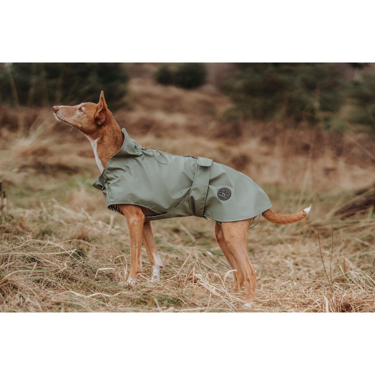 Dog Coat Hunter Milford Green 45 cm-1