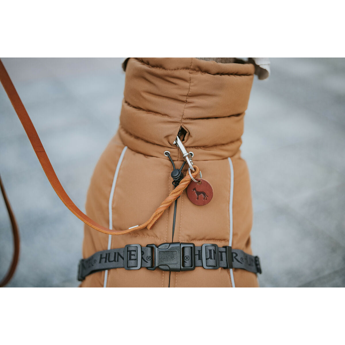 Pet's clothing Hunter PAXSON Brown Polyester-6