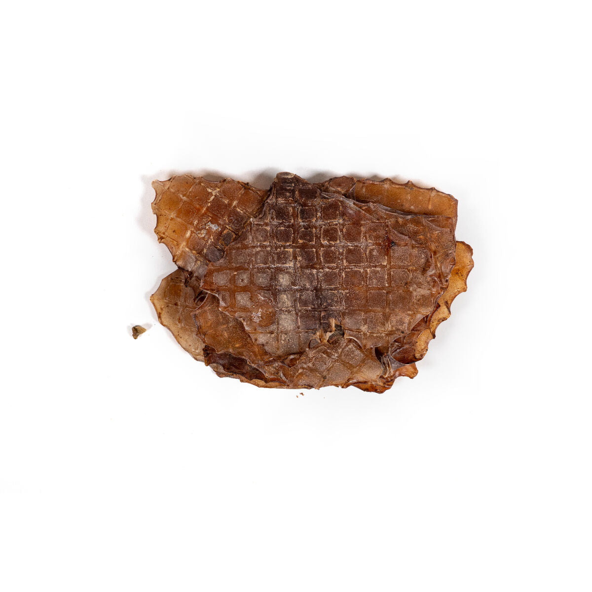 Wet food Snackys Fish-1
