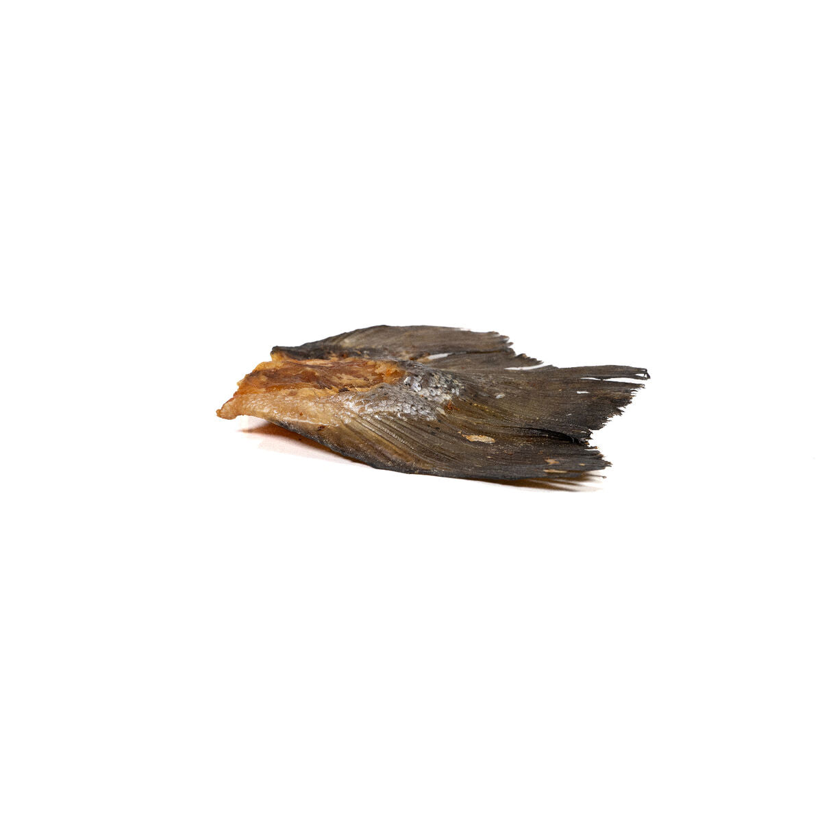 Wet food Snackys Fish-2