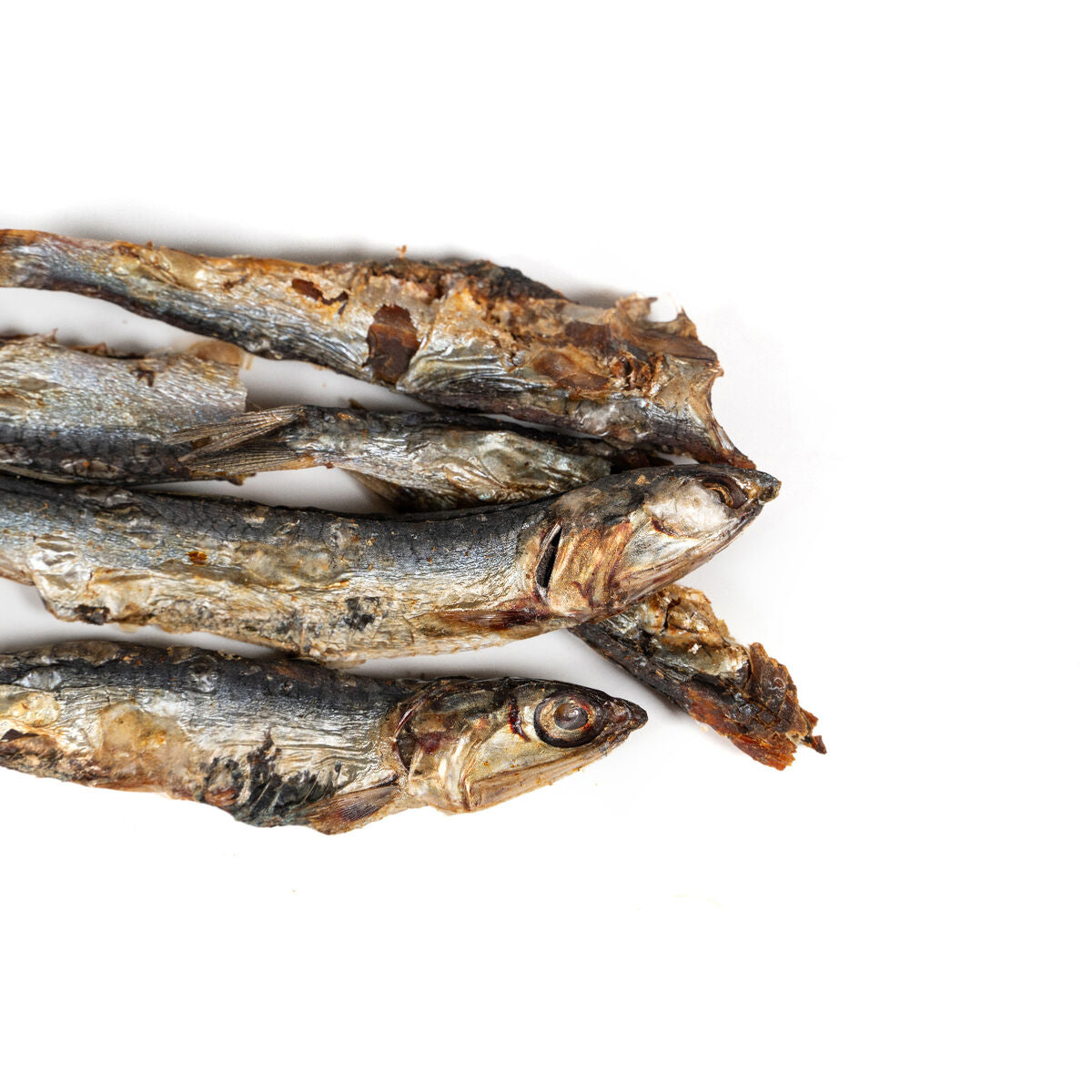 Wet food Snackys Fish-1