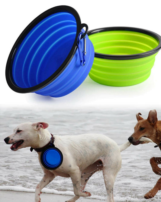 Folding Feeder and Drinker for Dogs
