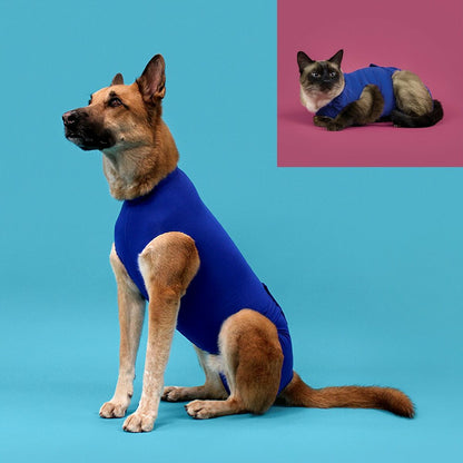 Recovery Vest for Pets KVP 45-53 cm Blue-1