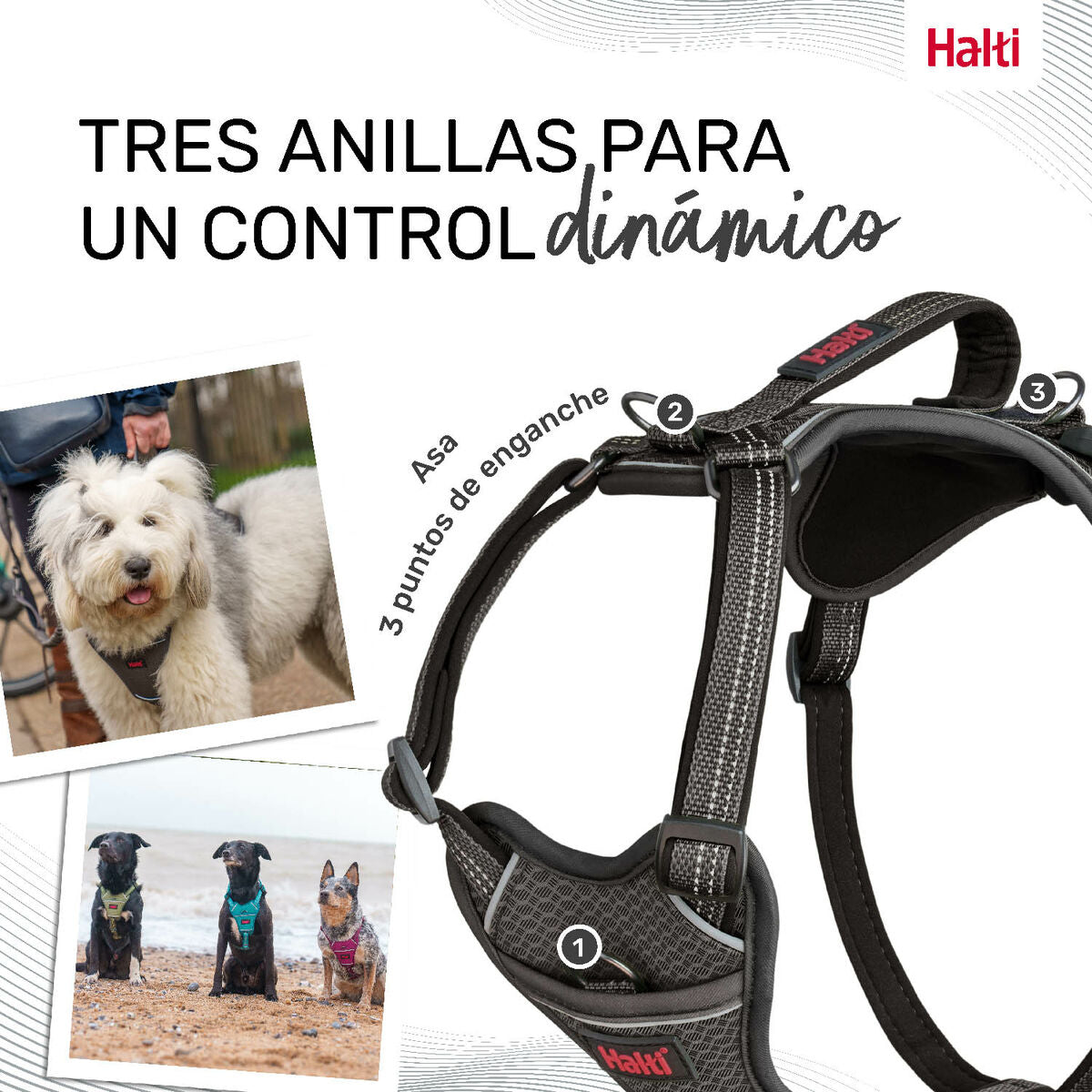 Dog Harness Company of Animals Grey M 35-55 cm-4