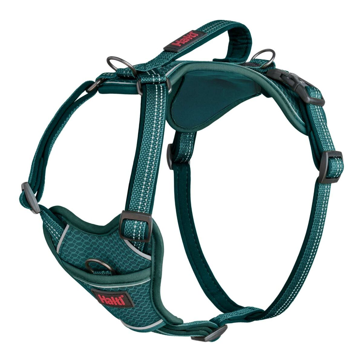 Dog Harness Company of Animals Turquoise XS 20-32 cm-0