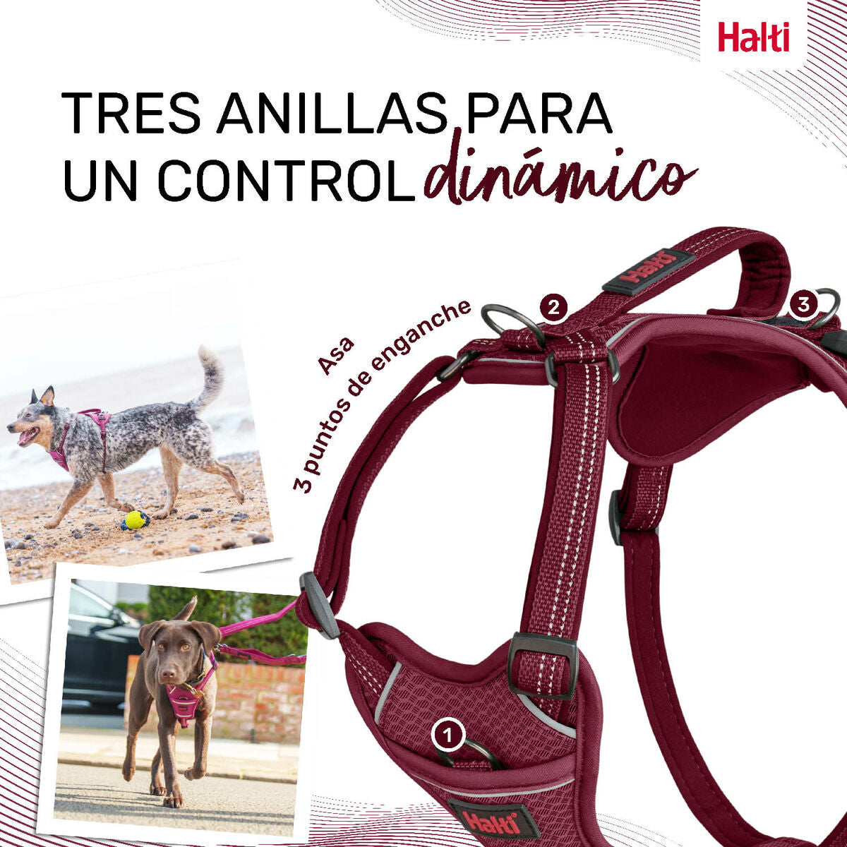 Dog Harness Company of Animals Burgundy L 42-65 cm-5