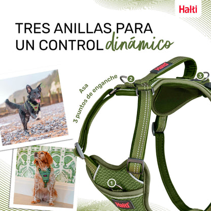 Dog Harness Company of Animals Green XL 50-78 cm-4