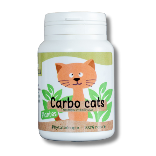 Digestion Carbo Cats natural - 30 capsules - Cat-0