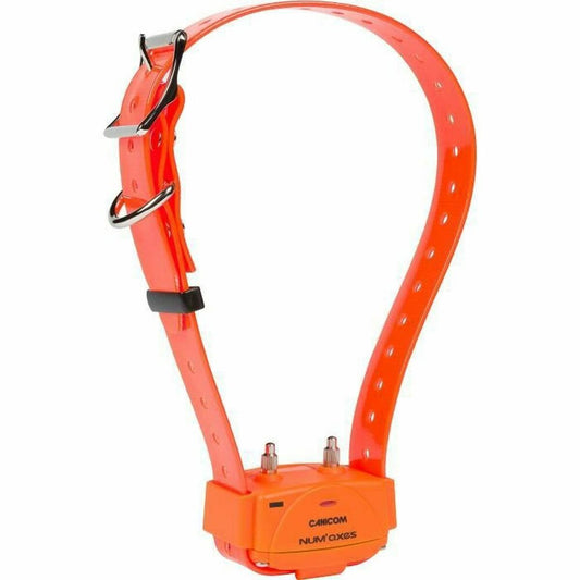 Dog Training Collars Num'Axes Orange-0