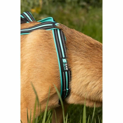 Dog Harness Olympia S-1