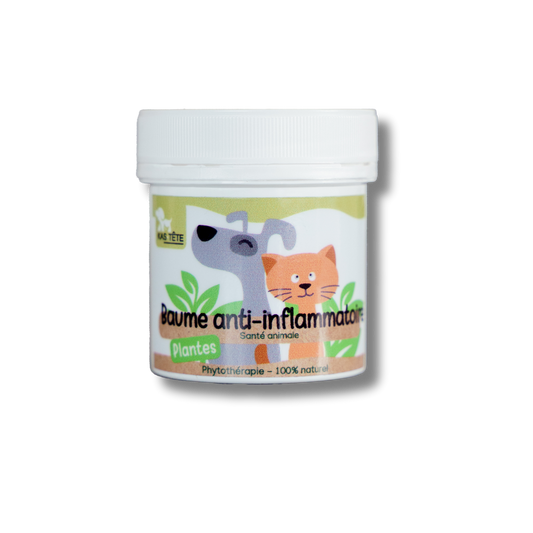 Anti-inflammatory balm 80g-0