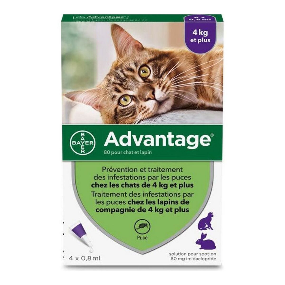 Anti-parasites Advantage Cat Rabbit +4 Kg 4 Units 0,8 ml-0