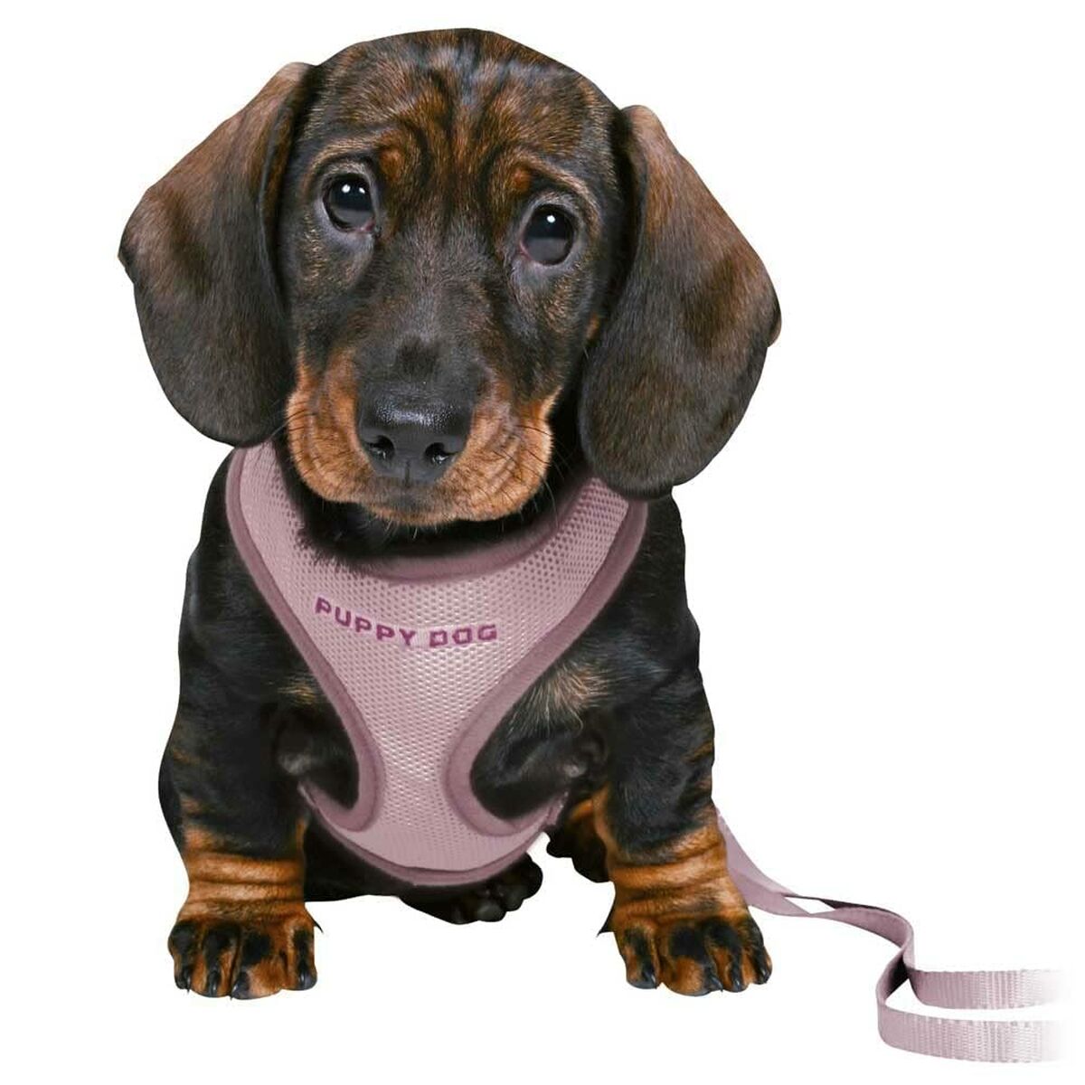 Dog Harness Trixie Junior Lilac-0