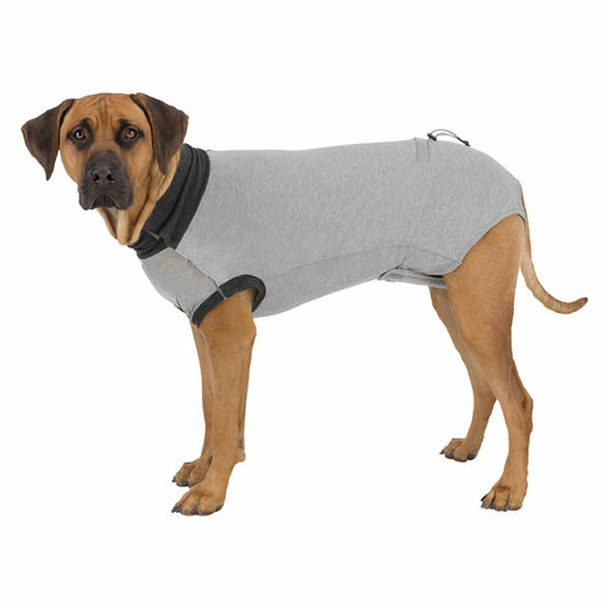 Body protector for dogs Trixie-1