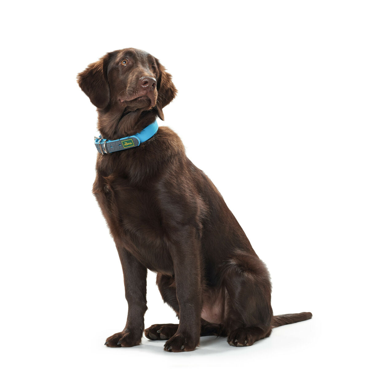 Dog collar Hunter Convenience 47-55 cm L Turquoise-1