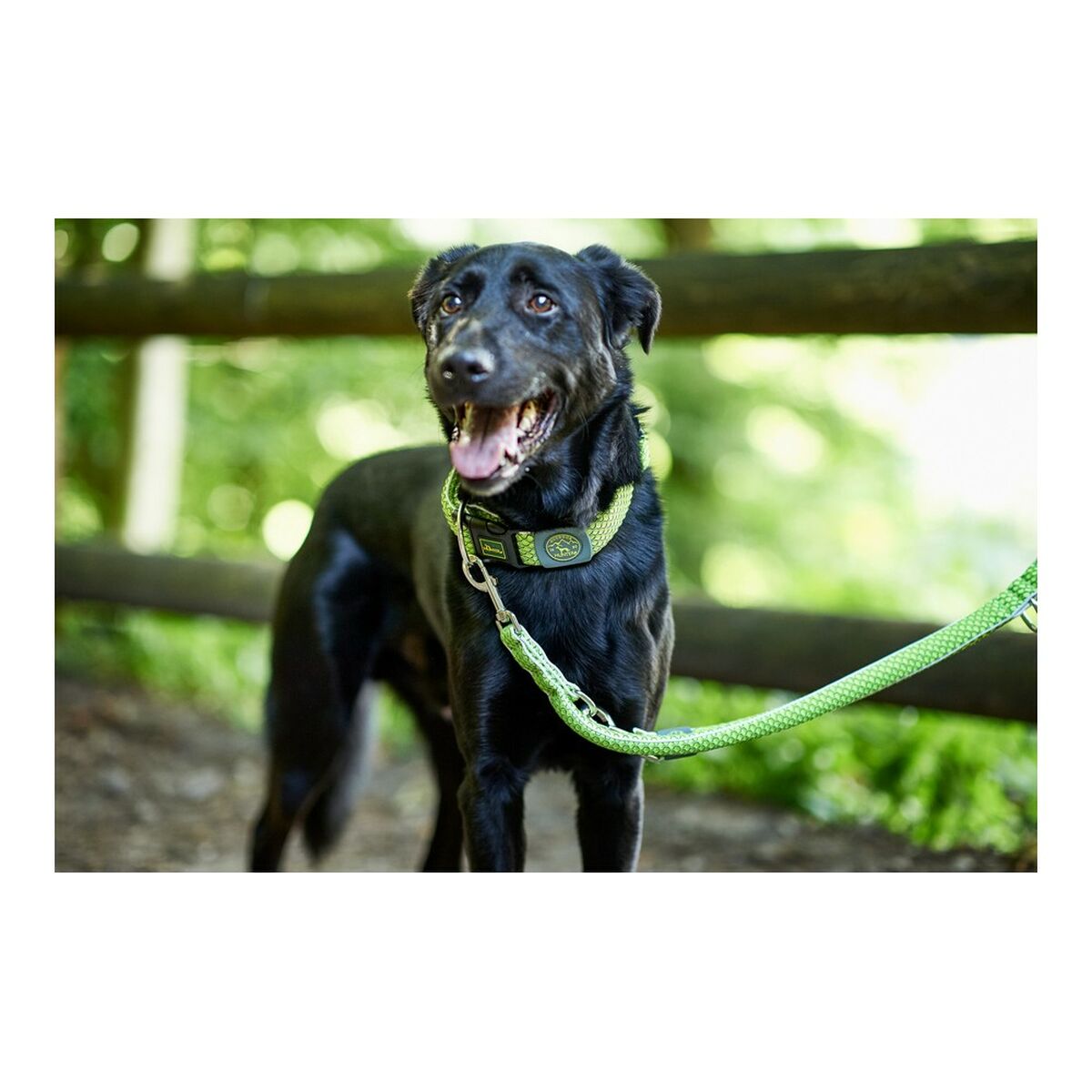 Dog Lead Hunter HILO Lime (200 cm)-3