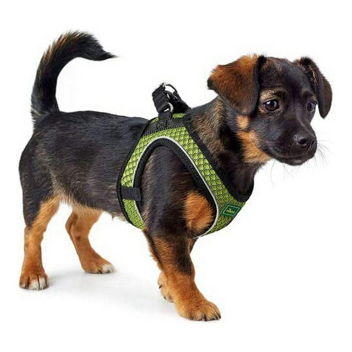 Dog Harness Hunter Hilo-Comfort Lime Size M/L (58-63 cm)-1