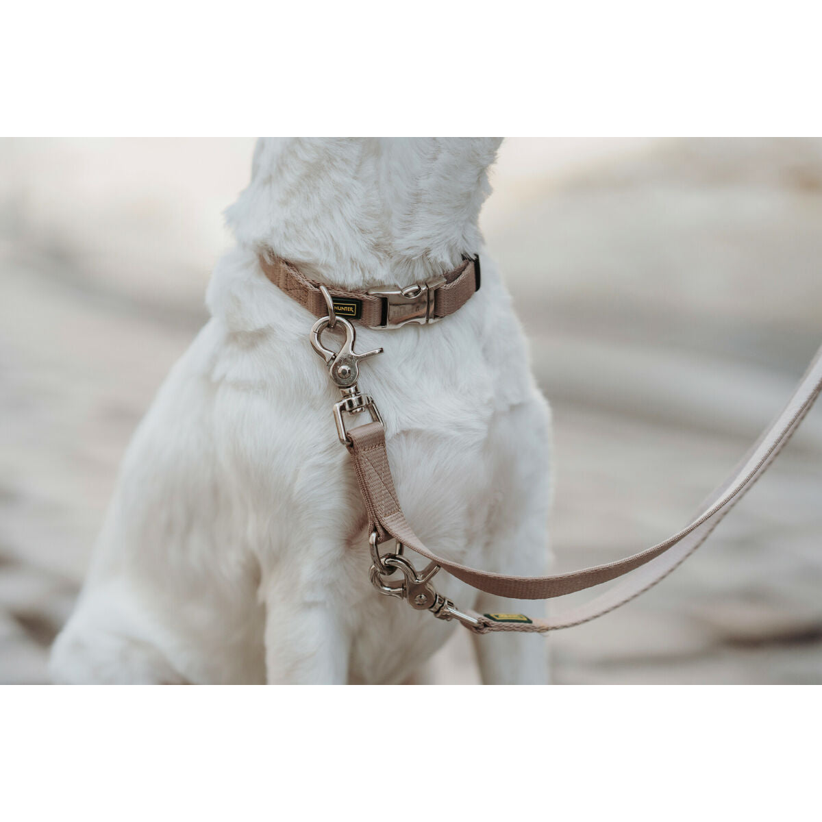 Dog collar Hunter Inari Beige XL 45-65 cm-2