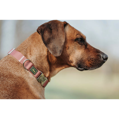 Dog collar Hunter Inari Red XL 45-65 cm-2