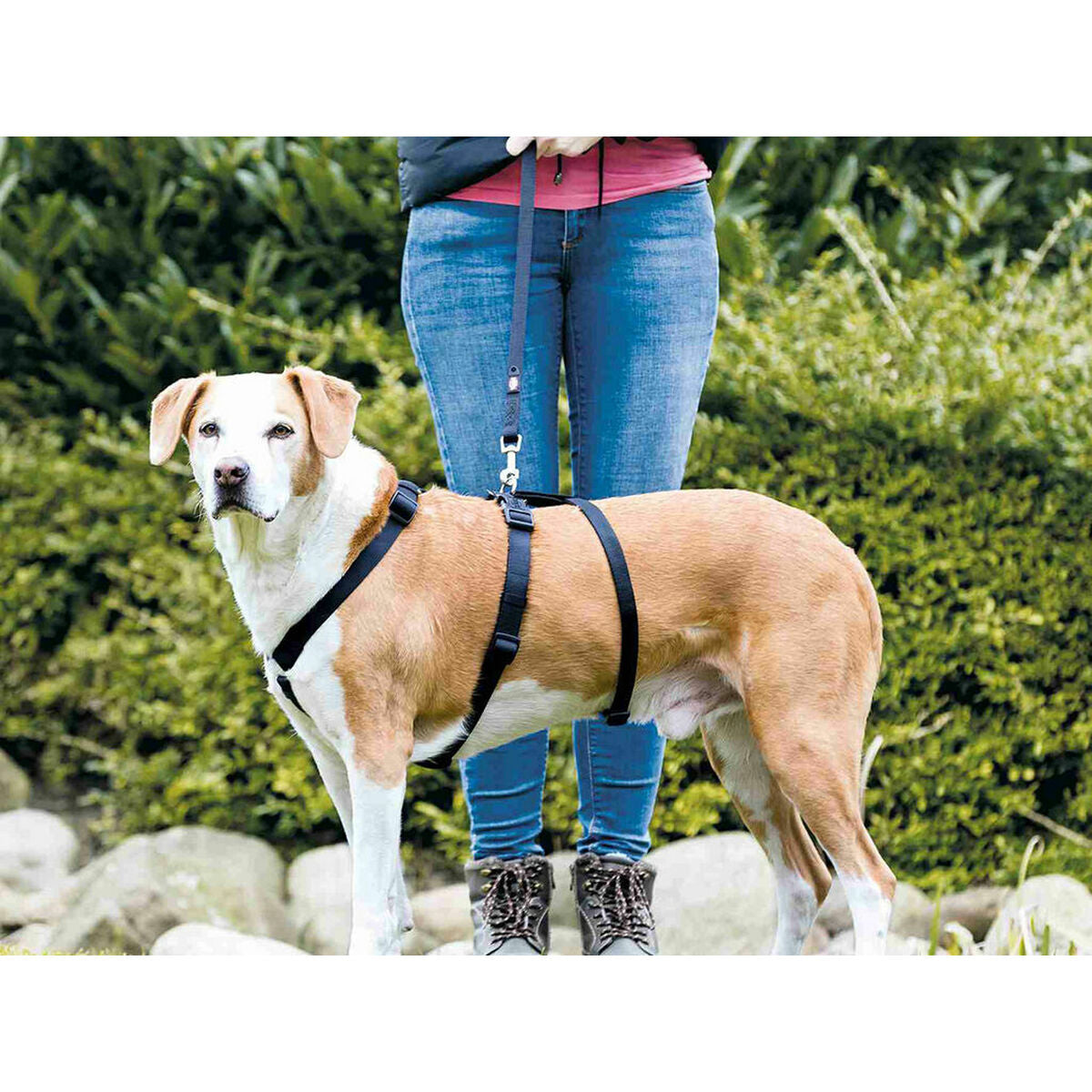 Guide harness for dog Trixie Stay Black M/L-2