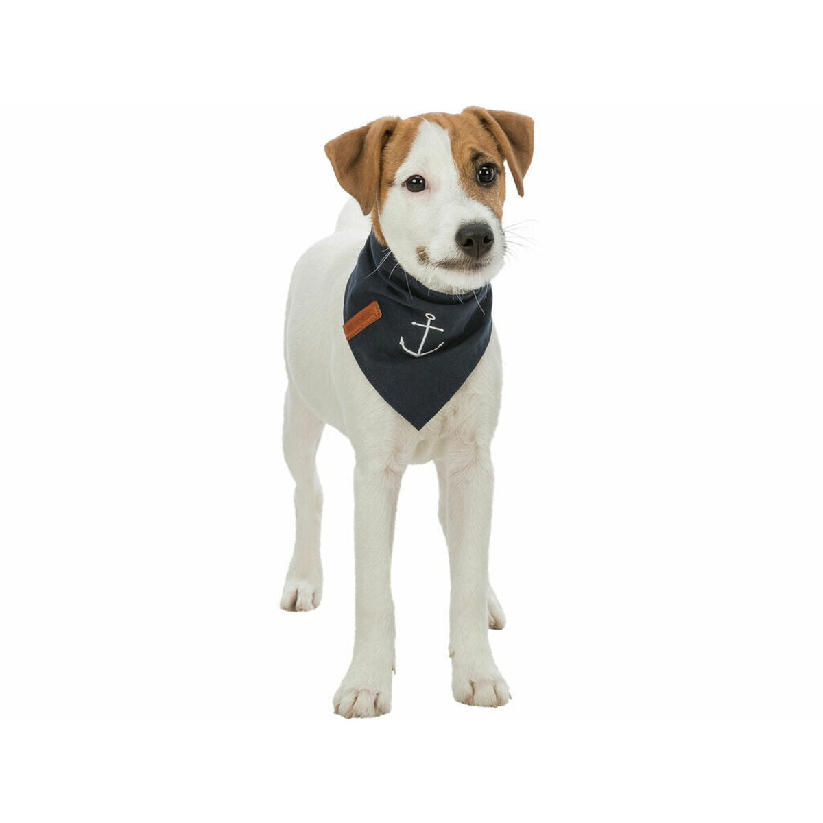 Handkerchief Trixie Dog Anchor-2