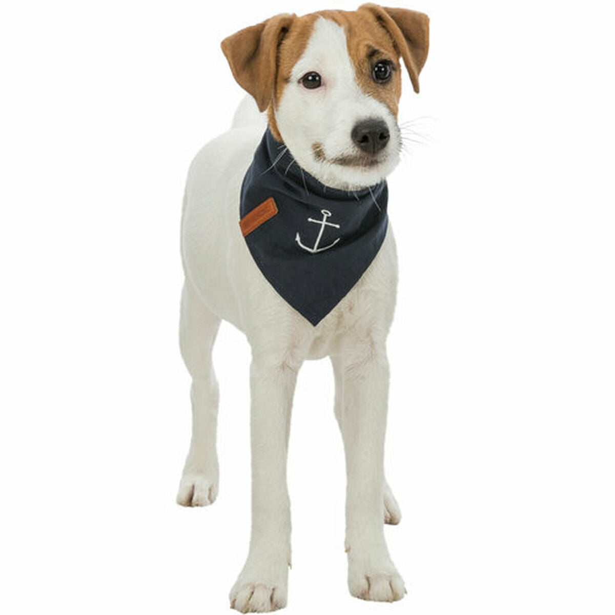 Handkerchief Trixie Dog Anchor-1