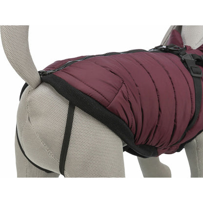 Dog Coat Trixie Pirou Maroon XXS-2