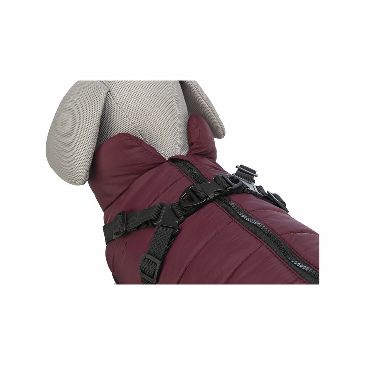 Dog Coat Trixie Pirou Maroon XXS-6