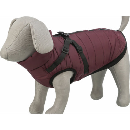 Dog Coat Trixie Pirou Maroon S-10