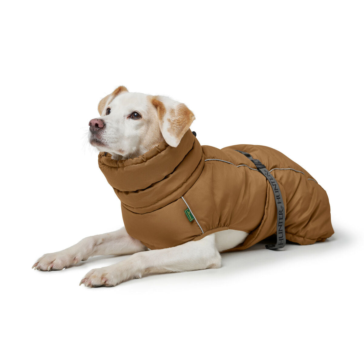 Pet's clothing Hunter PAXSON Brown Polyester-3