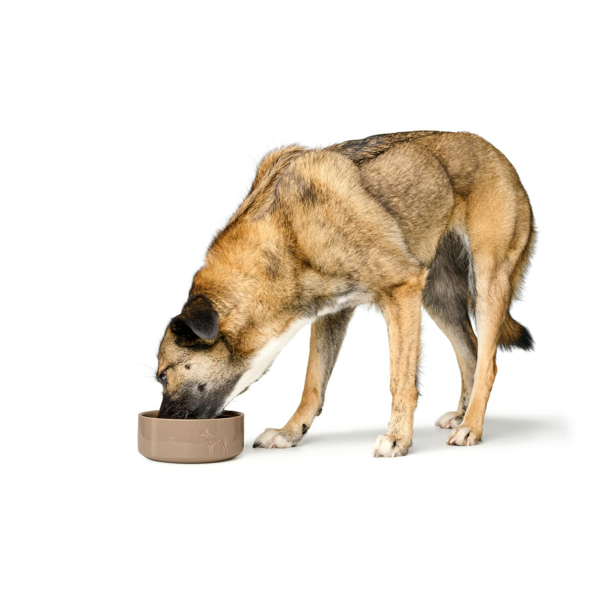 Dog Feeder Hunter OSBY Beige Ceramic 1,1 L-4