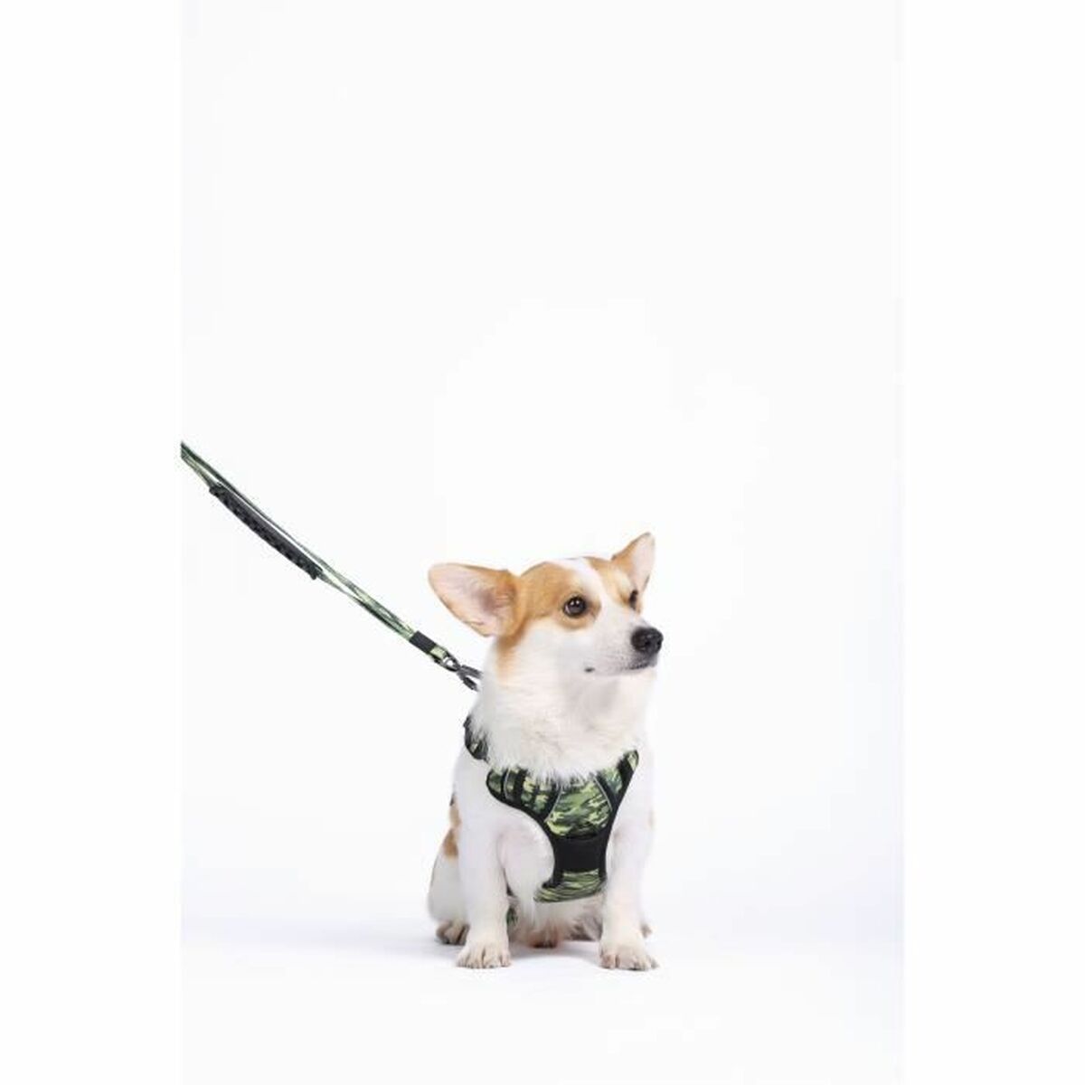 Dog Harness MPETS HIKING Green M-1