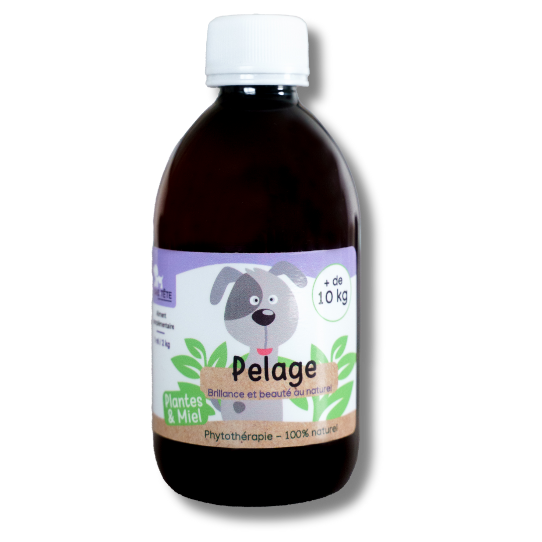 Natural Coat Syrup 300mL - Dogs + 10KG-0