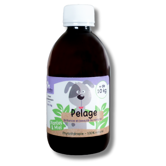 Natural Coat Syrup 300mL - Dogs + 10KG-0