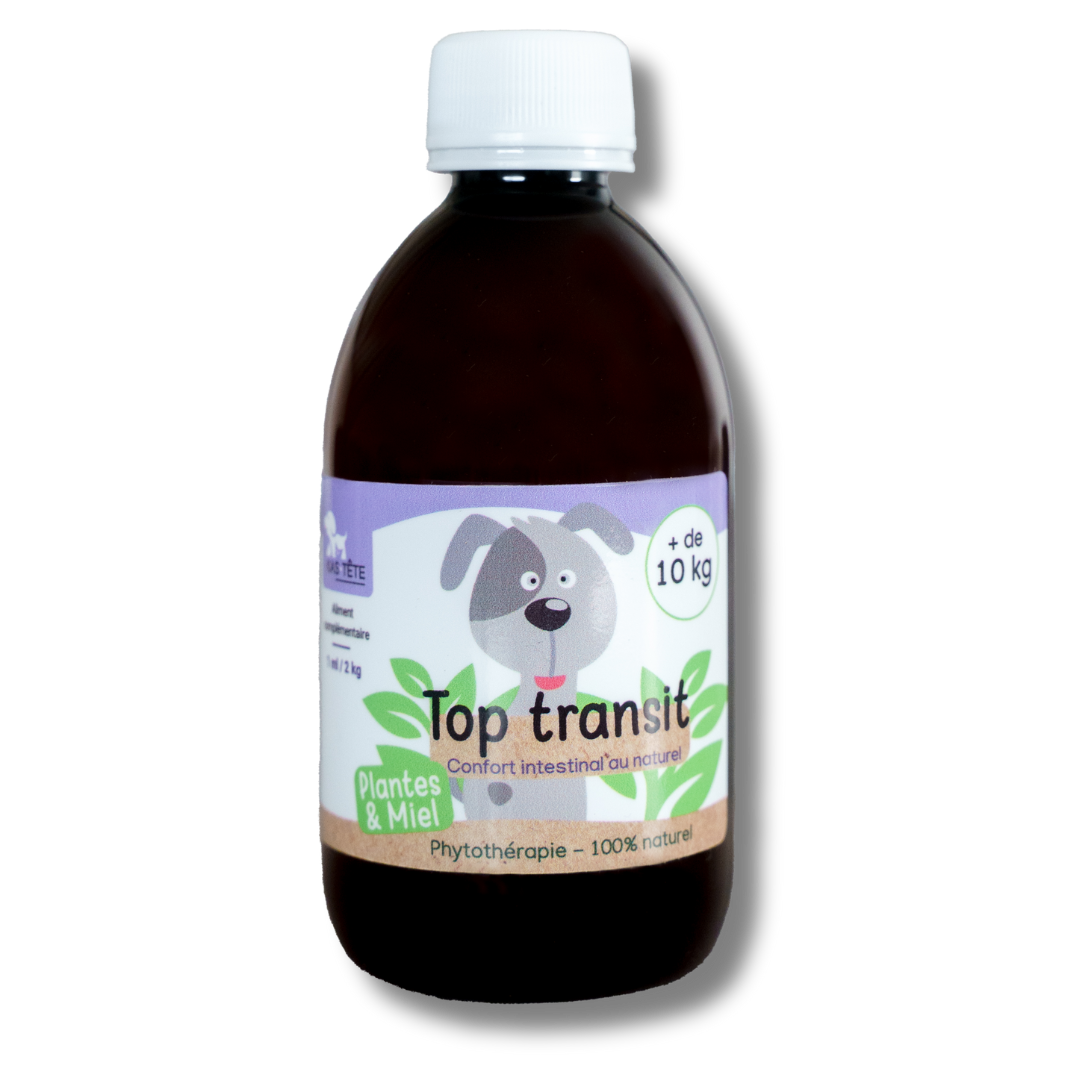 Top Transit Natural Syrup 300mL Dogs + 10KG-0