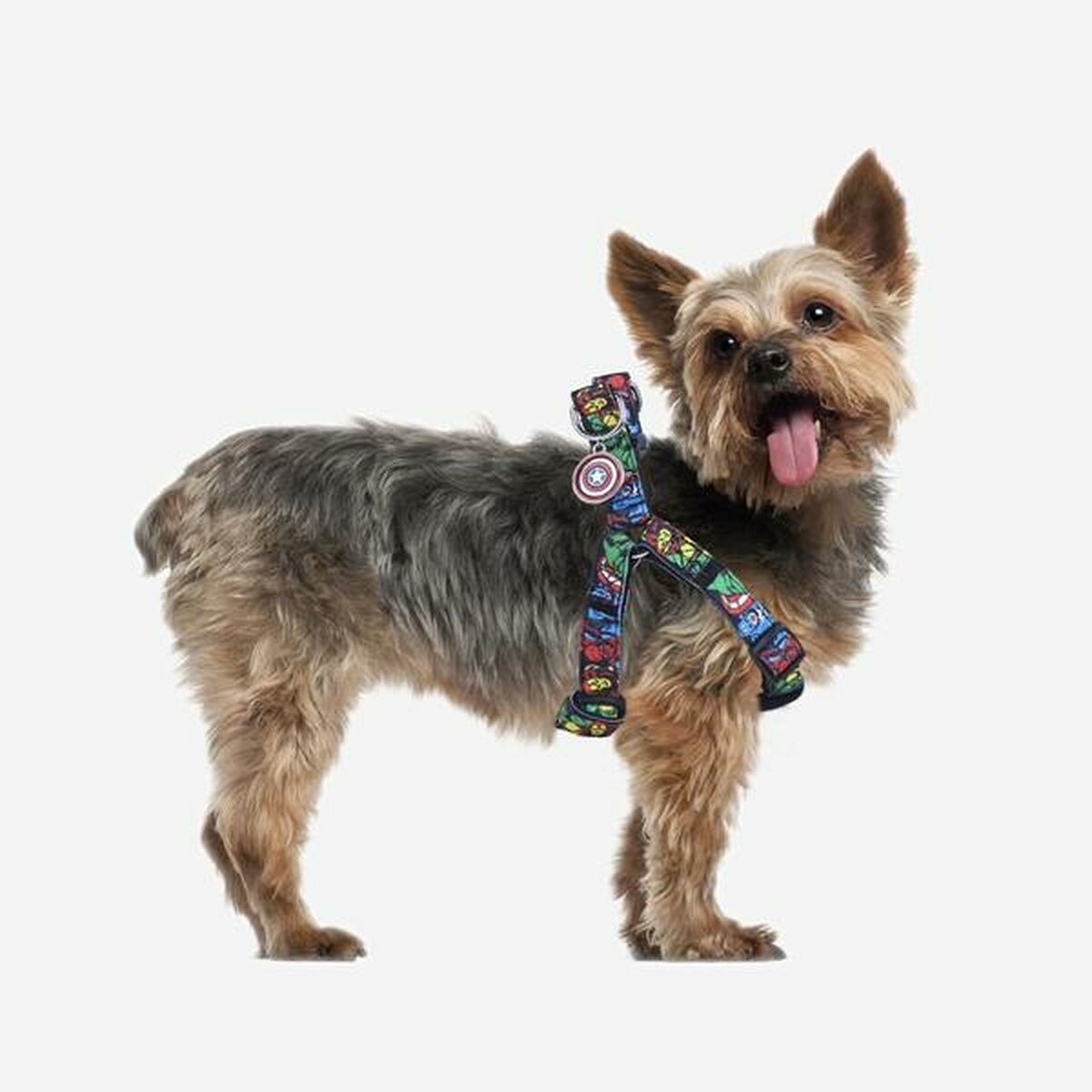 Dog Harness Marvel XXS/XS Black-3