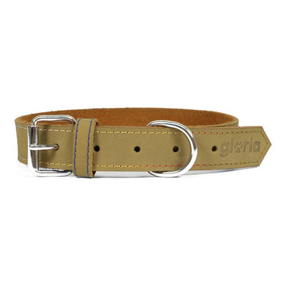 Dog collar Gloria Oasis Green (35 x 1,2 cm)-0