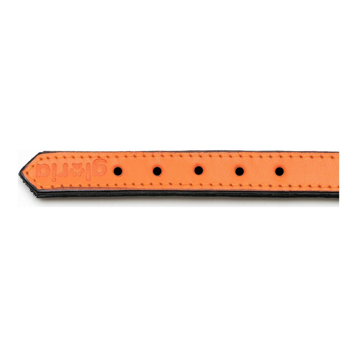 Dog collar Gloria Padded Orange (30 x 1,5 cm)-3