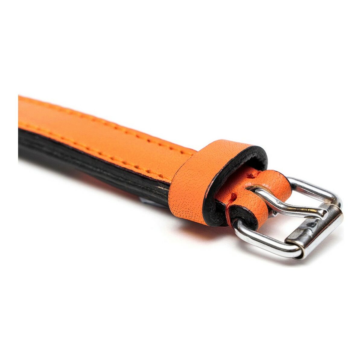 Dog collar Gloria Padded Orange (30 x 1,5 cm)-2