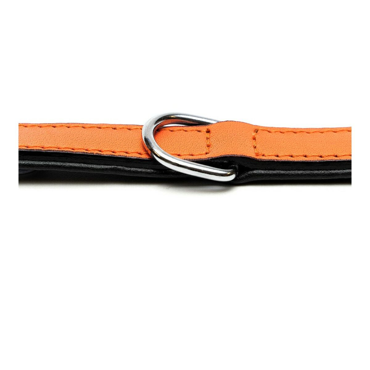 Dog collar Gloria Padded Orange (30 x 1,5 cm)-1