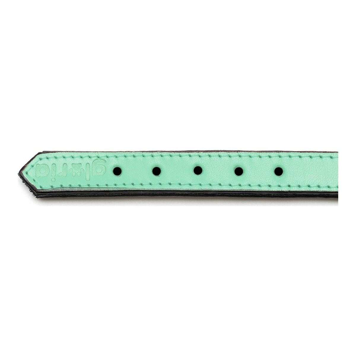 Dog collar Gloria Padded Green (45 x 2 cm)-1