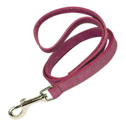 Dog Lead Gloria Oasis 2.1 x 100 cm Pink-1