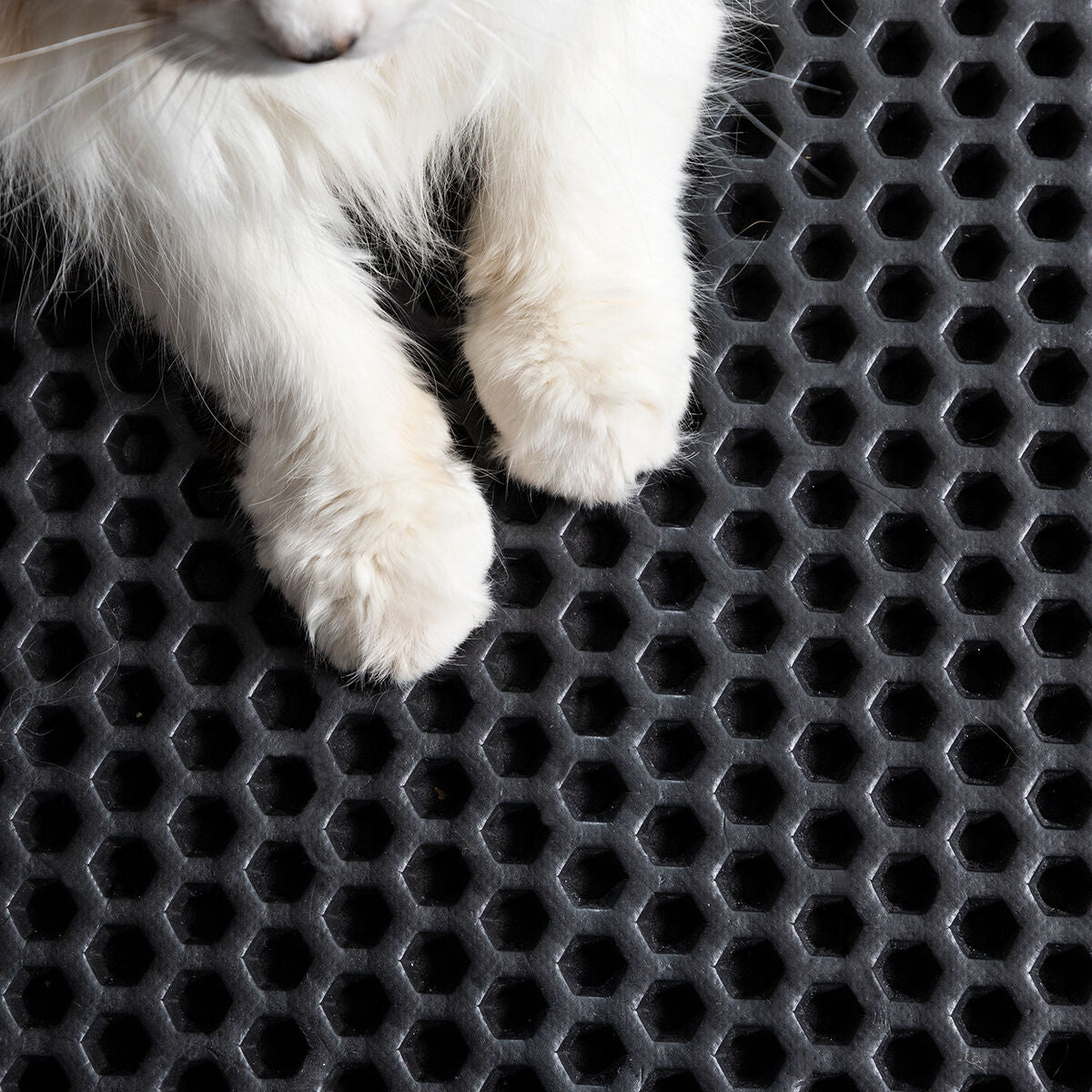 Cat Litter Tray Mat Clikatt InnovaGoods-6