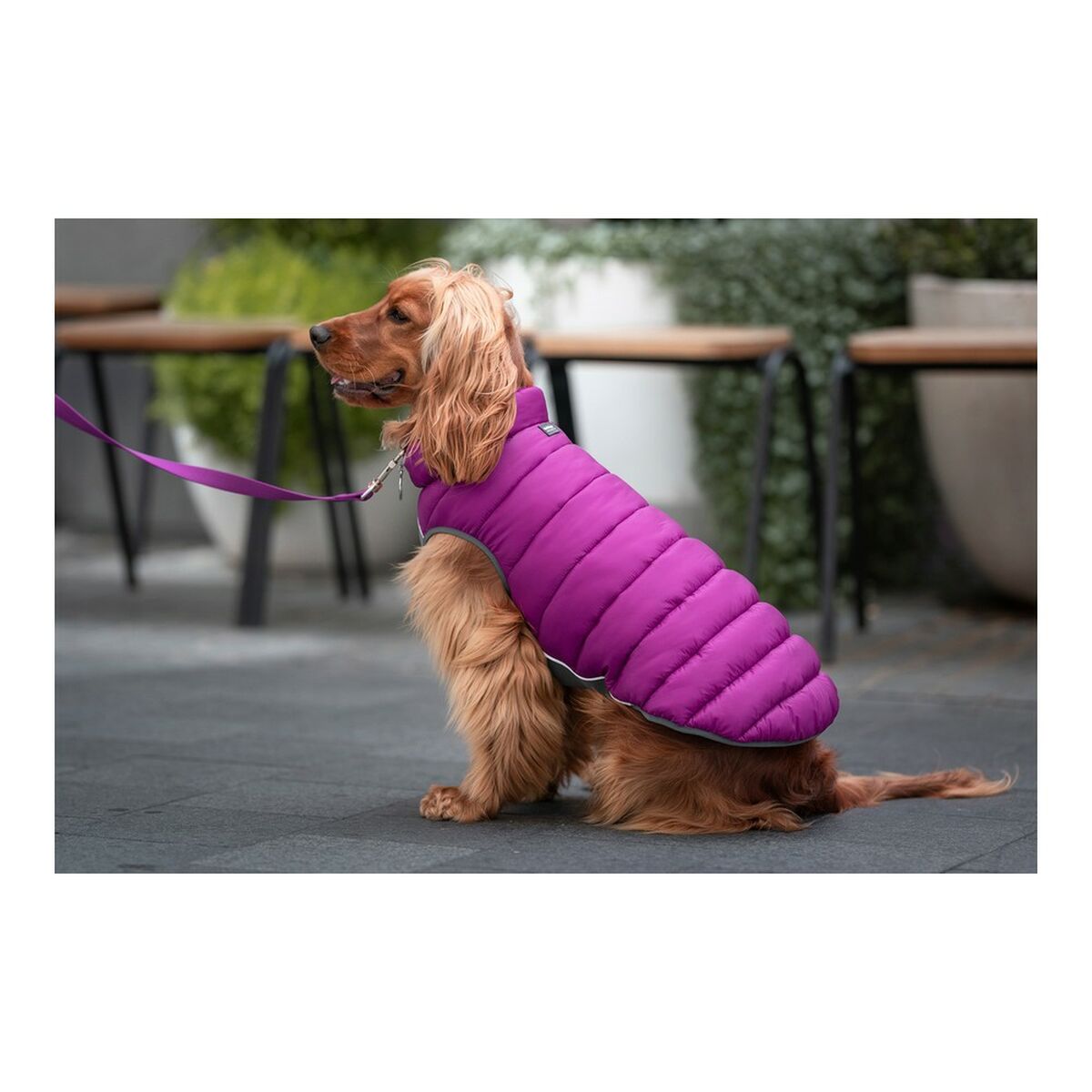 Dog Coat Red Dingo Puffer Pink/Purple 40 cm-3