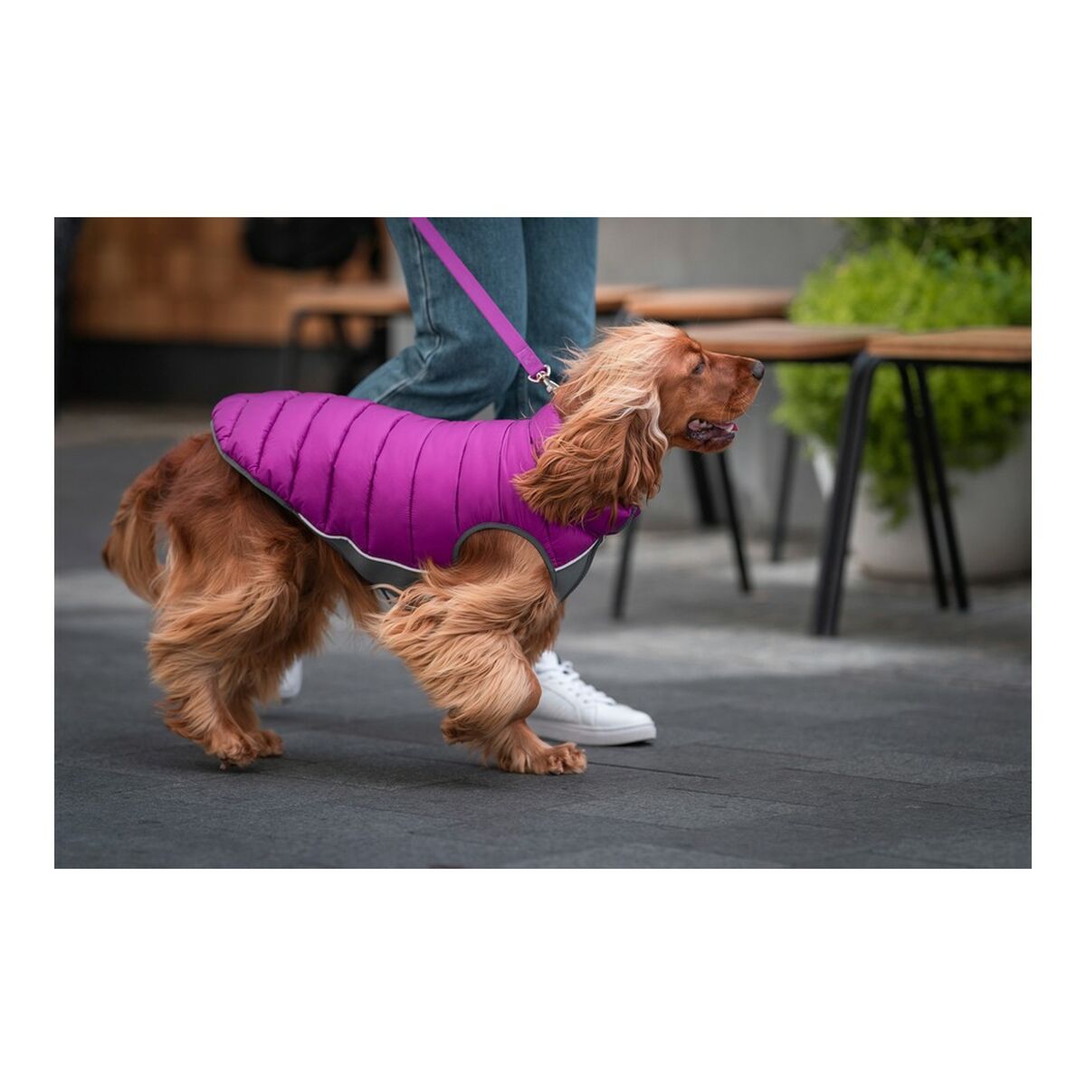 Dog Coat Red Dingo Puffer Pink/Purple 40 cm-2