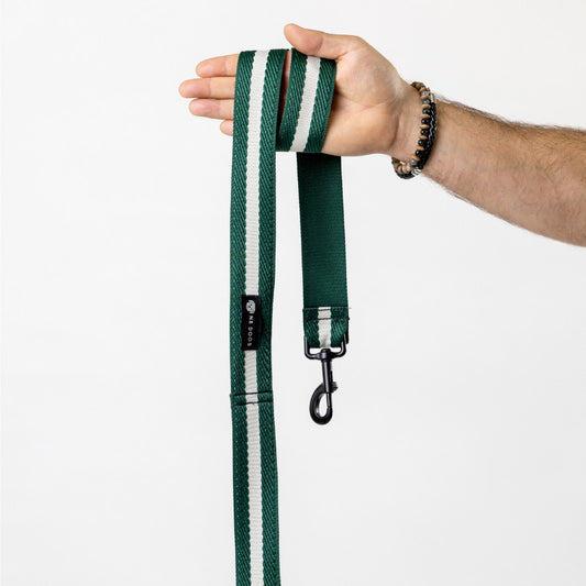 Leash Green/White M (150x3,8cm)-0