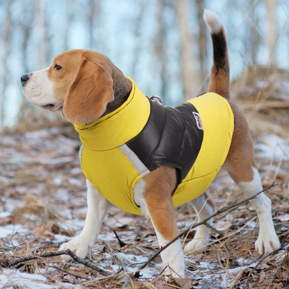 Waterproof Dog Jacket Winter - 4petslovers