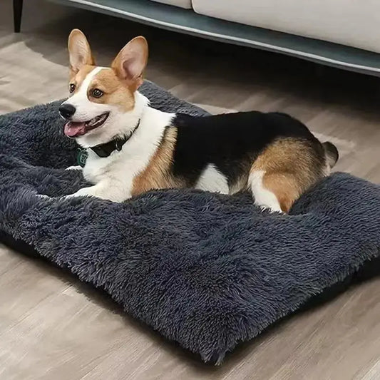 Large Dog Bed - 4petslovers