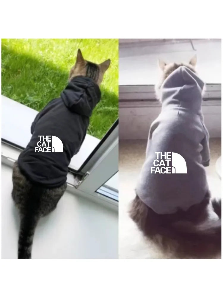 Fashion cat cool clothes - 4petslovers