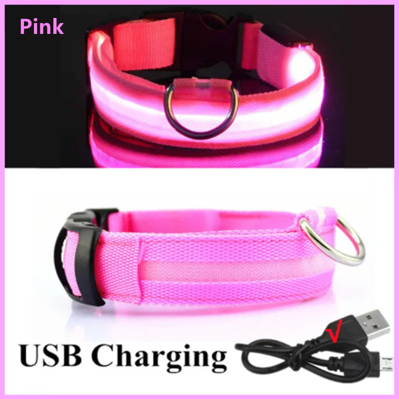 LED Dog Collar - 4petslovers